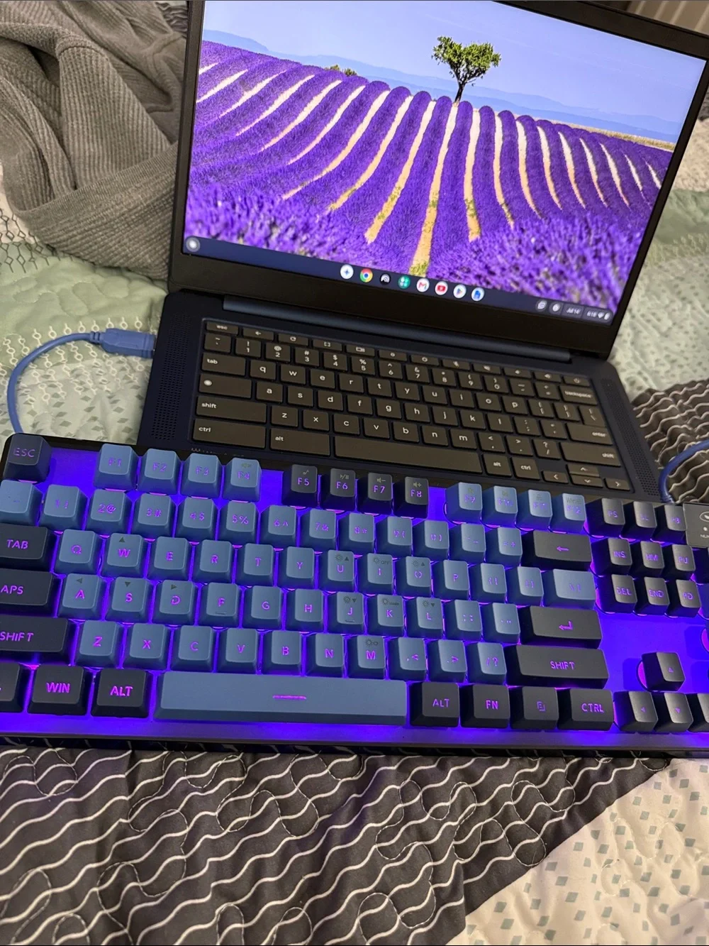 Lenovo White and Blue Wired Keyboard and Mouse Combo (Boxed)